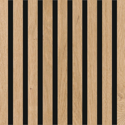 Riflaj Acustic STEJAR