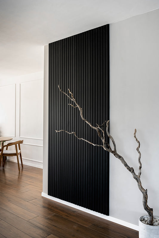 Riflaj Acustic NEGRU