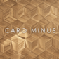 Panou decorativ 3D CARO MINUS, Frasin