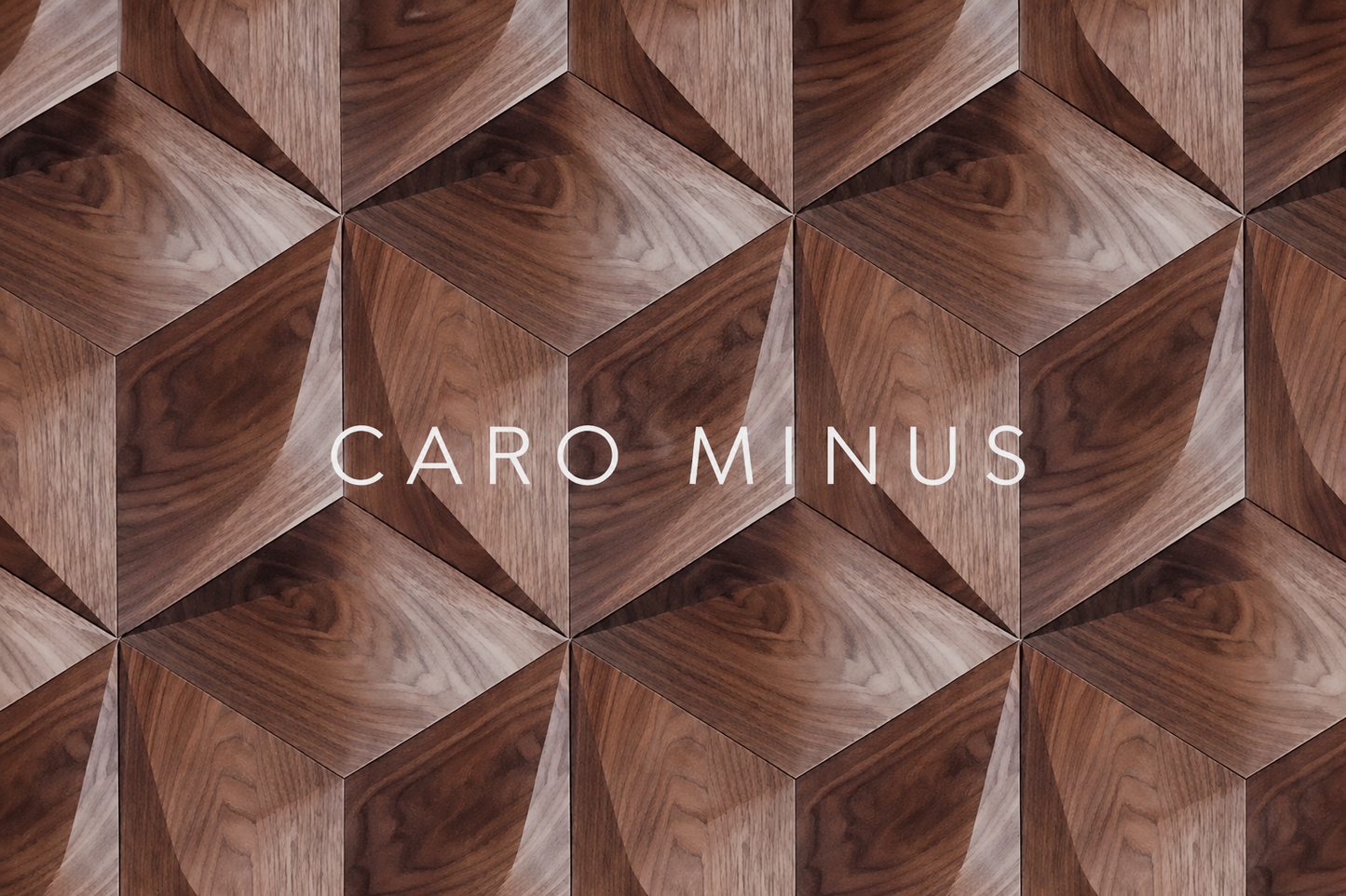 Panou decorativ 3D CARO MINUS, Nuc American