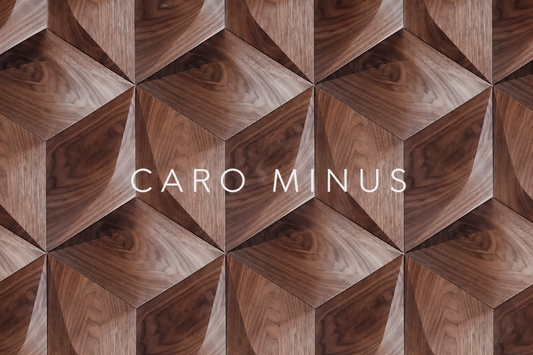 Panou decorativ 3D CARO MINUS, Nuc American