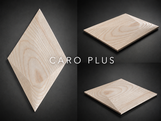 Panou decorativ 3D CARO PLUS, Frasin