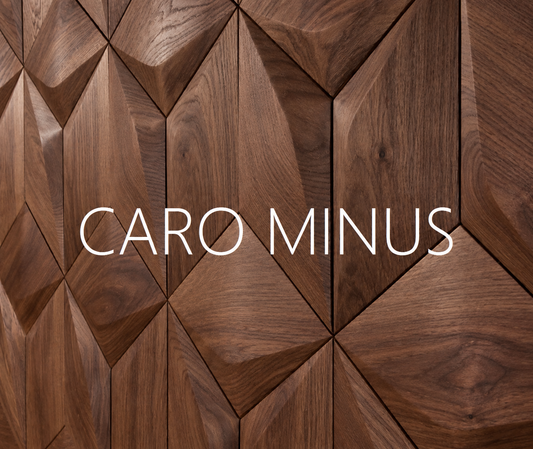 Panou decorativ 3D CARO MINUS - FORM AT WOOD
